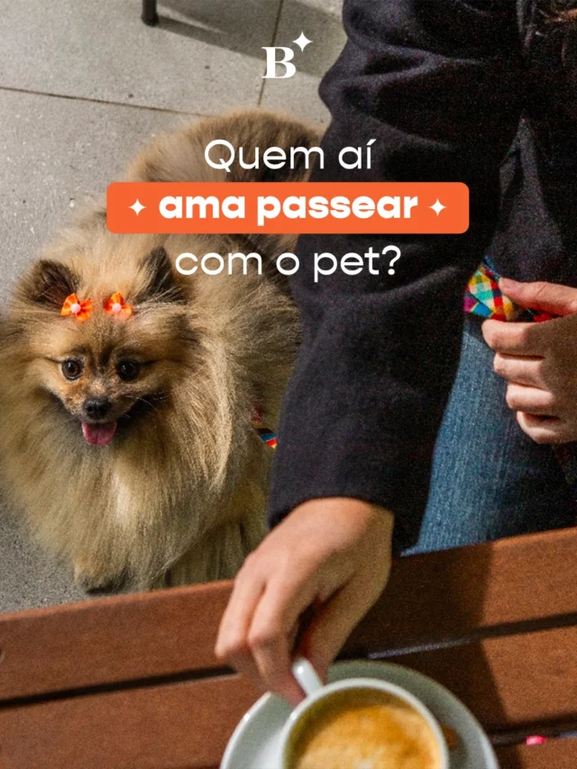 Seu pet também faz parte da família aqui! 🐾 💚 

Traga seu companheiro para curtir momentos ao ar livre com você e aproveitar a pausa ao seu lado. 

Estamos de portas abertas. Confira as unidades e venha curtir um momento único. 

#Benjamin #PetFriendly #PadariaSP